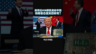 【中美AI博弈关键一击！英伟达H20芯片终于放行！】#特斯拉股票 #美股 #股哥说美股 #tesla #马斯克 #AI #关税战 #特朗普 #对等关税