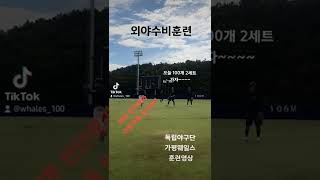 무실책을 목표로. 야구 외야수비훈련 #shorts #야구 #프로야구 #독립야구단 #외야수 #가평웨일스 #훈련