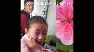 Dhotrey Forest Village