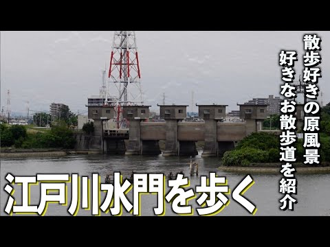 【江戸川】ここが原点！僕の好きな散歩道をご紹介します。#千葉県 #船橋市