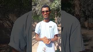#ወዲ ሓገዝ ኣይሓትትን