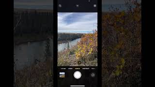 Why You NEED to Use Grid View for iPhone Photos! 📸 #phototips