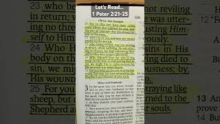 Let's Read... 1 Peter 2:21-25 #shorts #letsread #bibleverse #legacystandardbible