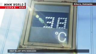 Hokkaido sweltersーNHK WORLD-JAPAN NEWS