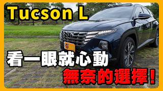 選HYUNDAI Tucson L的理由 | 那些配備被原廠拔掉 |身高190公分選車困擾