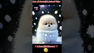 Cute 😍 cartoon Dpz picture/ whatsApp Dp image #shorts #youtubeshorts