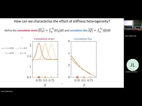 Cyclic loading of non-linear heterogeneous poroelastic material