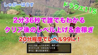 【ドラクエ11S】2分36秒でわかるクリア後のレベル上げ(~Lv99)と効率金稼ぎ！