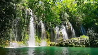 [White Noise]"Waterfall,Deep,Pool",10 Hours,ASMR,precipitation,solve,attention,How to sleep,Can't sl