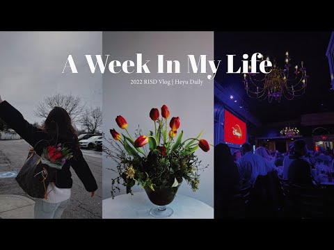 RISD Graphic Design 2022 | A Week in My Life