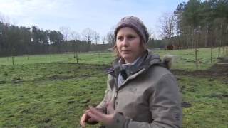 OnsTv – Vrouwelijk Talent 2016 - Melanie Wittockx