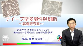 京都大学iPS細胞研究所　髙島康弘研究室の紹介