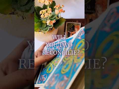 Will you two reconcile? 🧿 || #timelessreading #reconciliation #tarot #tarotreading