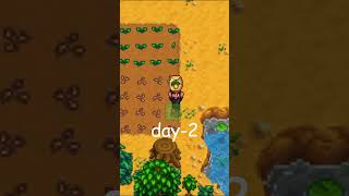 the best thing to do in #Day2 #StardewValley #Subscribe! 🌱