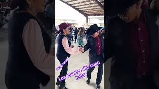 pulga de Alamo, Texas #music #youtubeshorts #humor #pulgadealamo #shiv #dance #show #song #shorts