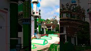seyad makhdoom Ashraf #kichochasharif #tarndeng #vairalvideo #shortvideo