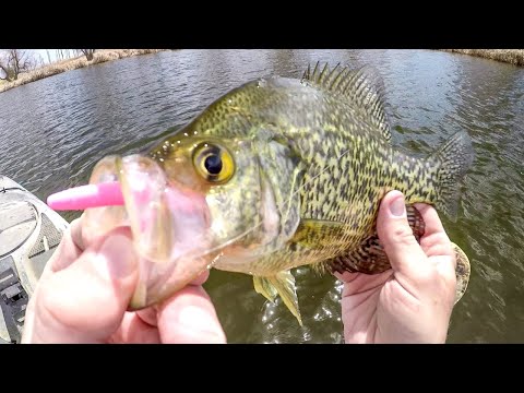 Ice Out Fishing For Spring Crappies!