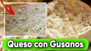 Queso con gusanos:  Casu marzu Un queso no apto para sensibles