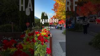 Autumn in Adelaide Hills 🍂 | Hahndorf  #australia #hahndorf #autumn #shorts