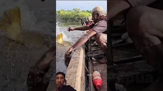 fishing on the edge and successfully striking a big barramundi fish