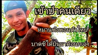 บาดชิหมานบินมาคึอนกเจ่า//pai-khosana