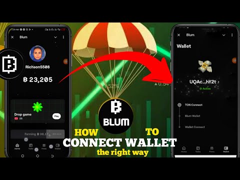 Right method to connect wallet to blum