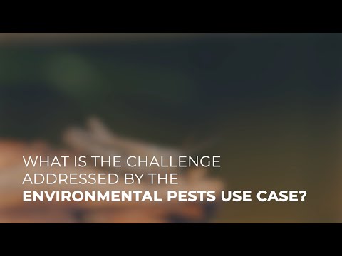 Environmental Pests Use Case - EO4EU