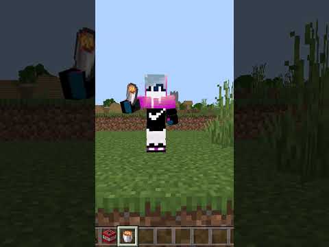 【Shorts】 If you try to raid the village again     【Minecraft】 #shorts