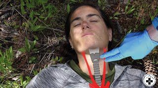 Pulse Check: Finding the Carotid Pulse