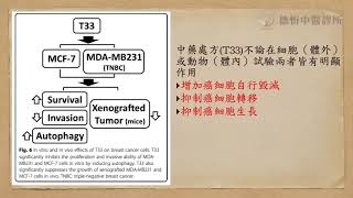 研究成果：中藥處方在人類乳癌細胞的體外和體內作用【劉育德醫師】