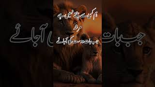 New viral attitude shayari | Attitude Tik tok Shayari Attitude poetry in urdu || #shorts