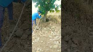 gavlife #myfirstvlogviral #villagelifestyle #dehativlogvideo #rknarretivlogs