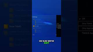 Gold Hen 2.4 B: Setup Guide for PS4 12.02 Firmware