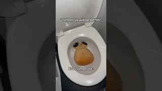 gone but not forgotten #funny #poustory #pou