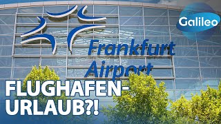 Geheimnis Flughafen Frankfurt: Leben, wo andere abheben!