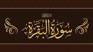 Surah Baqarah: Powerful Quran Recitation | Quran with Daniyen