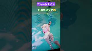 【フォートナイト】#トリオ #fortnite #フォートナイト #ラマ #youtube #youtubeshorts