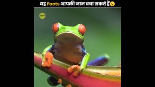 यह Facts आपकी जान बचा सकते हैं 😰 | Facts That Can Save Your Life | The Fact | #shorts #ytshorts