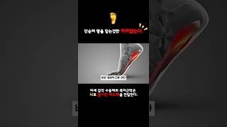 움직임의 원동력: 발바닥을 알아보자!!                                                               #발바닥 #해부학 #운동팁