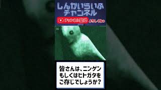 オカルトマニアが教えるUMA解説⑩ニンゲン(ヒトガタ)