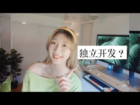 WEB前端 | 关于独立开发，真希望当初有人教我这些 | Things I Wish I Had as a Junior Developer (Being a solo developer)