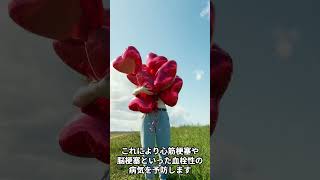 血液をサラサラにする抗血小板薬と抗凝固薬の違いとは? #shorts