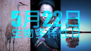 【生物多样性国际日】全世界四分之三的陆地环境和三分之二的海洋环境已因人类行为发生了巨大变化，约有100万动植物物种濒临灭绝【欢迎订阅咪咕MiGu官方频道】