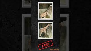 Fake photos part 2 #camera #fake #viralphoto
