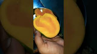 Mengo Yummy 😋 #shortvideo #dailyvlog #shortsfeed #shorts #mengo