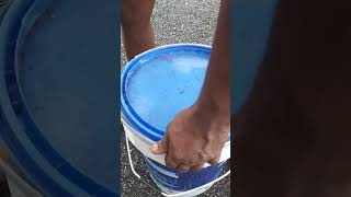 TUFF work driver add blue gallon open #youtube #shorts #viralvideo
