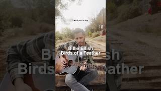 I love me a sad song #billieeilish #coversong #sadpop