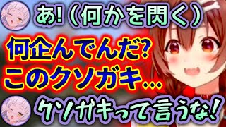 勘のいいガキに辛辣すぎるころさん【ホロライブ切り抜き/戌神ころね/紫咲シオン】