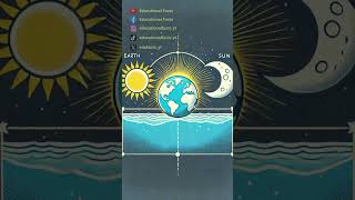 How the Moon Influences Earth's Tides #shorts