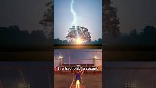 The Astonishing Power of a Lightning Strike